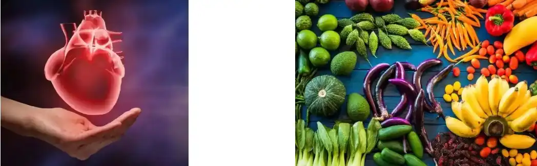 Red Yeast Rice Extract Powder Red Yeast Rice Extract Powder