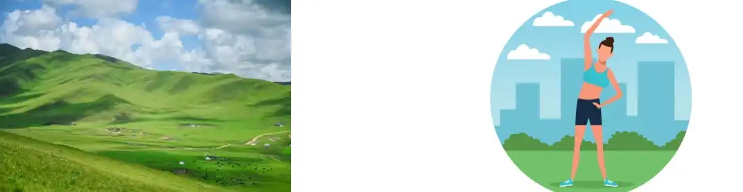 Red Yeast Rice Extract Powder Red Yeast Rice Extract Powder