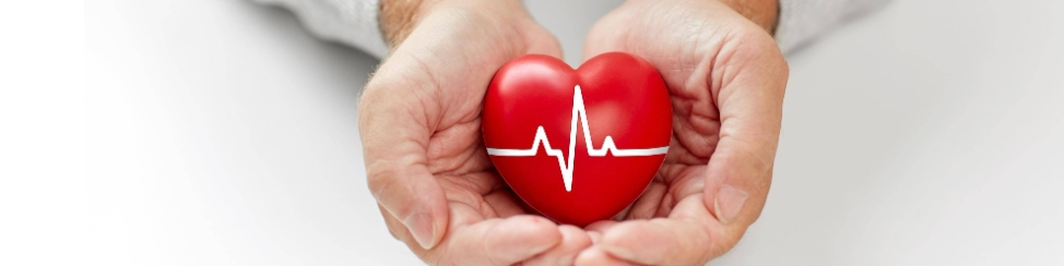 Red Yeast Rice Extract Powder Red Yeast Rice Extract Powder