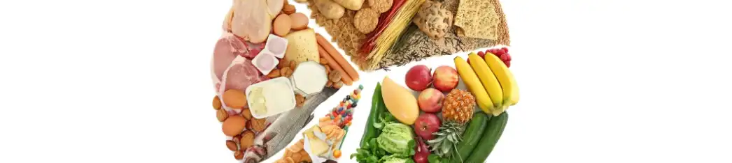 Chlorella Powder Chlorella Powder