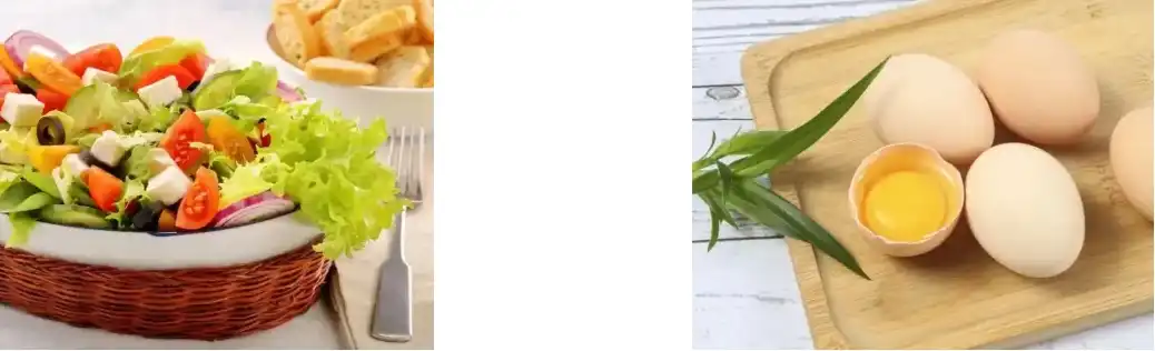 Chlorella Powder Chlorella Powder