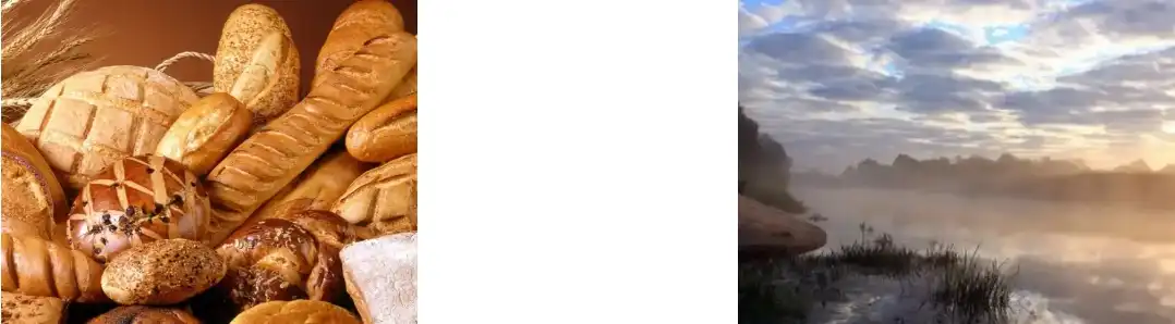 Almond Protein Powder Almond Protein Powder