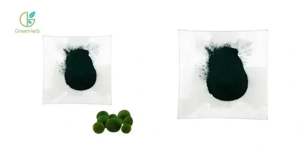 Chlorella Powder  Chlorella Powder