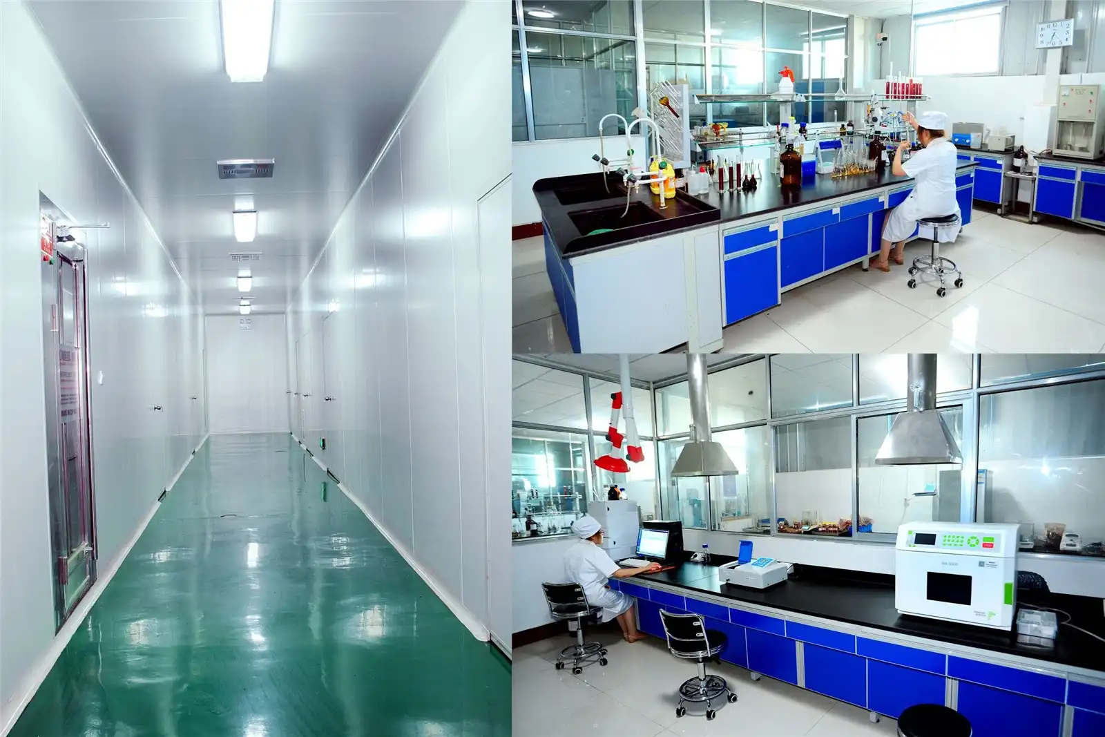 Laboratory Laboratory