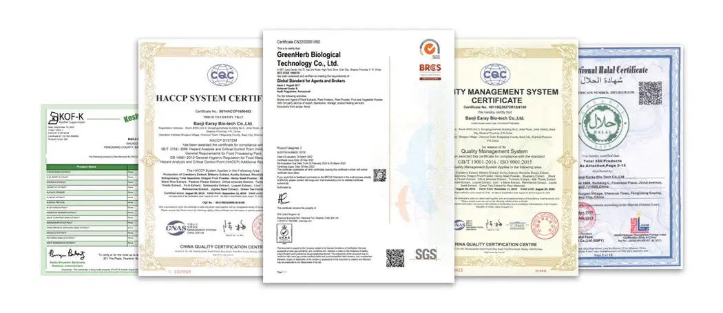 Certifications Certifications