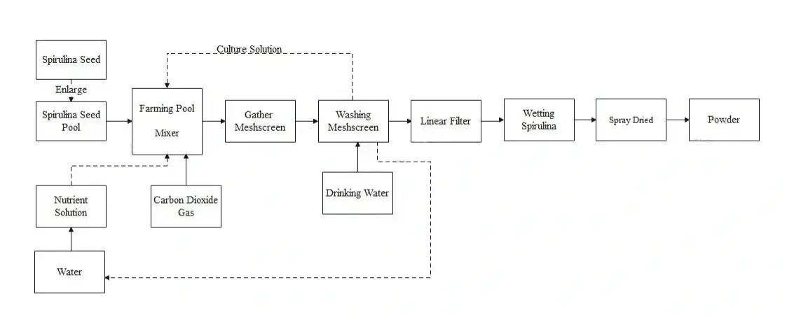 Flow Chart Of Spirulina Extract Powder1 Flow Chart Of Spirulina Extract Powder1