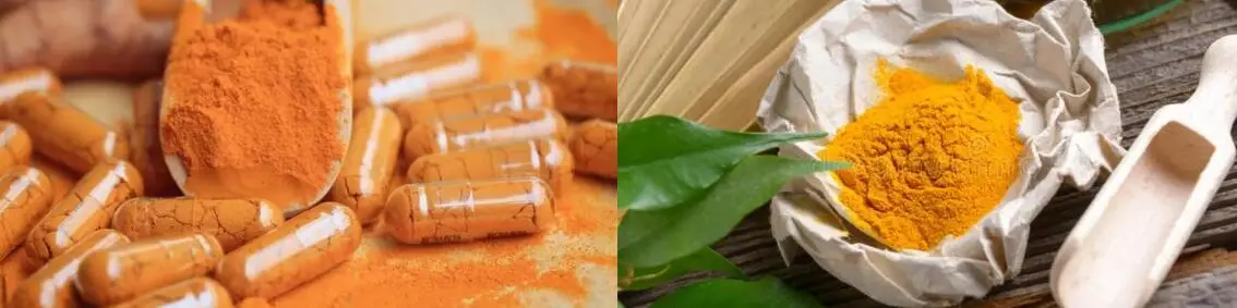 EXTRACTO DE RAÍZ DE CÚRMERA EN POL EXTRACTO DE RAÍZ DE CÚRMERA EN POL