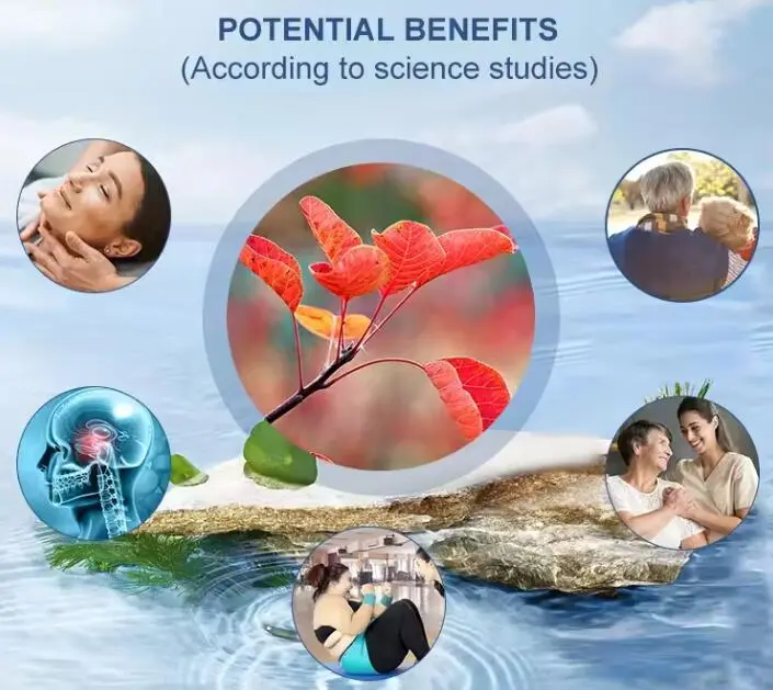 FISETIN POWDER FISETIN POWDER