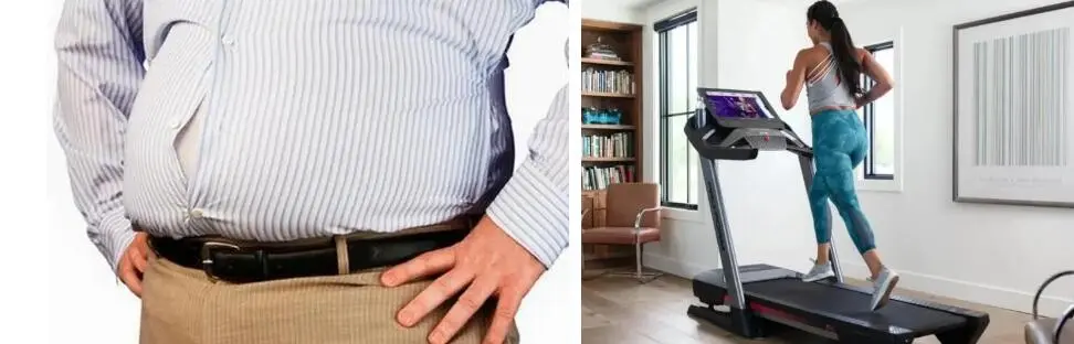 FISETIN POWDER FISETIN POWDER