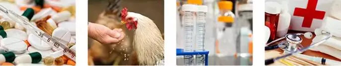 FISETIN POWDER FISETIN POWDER