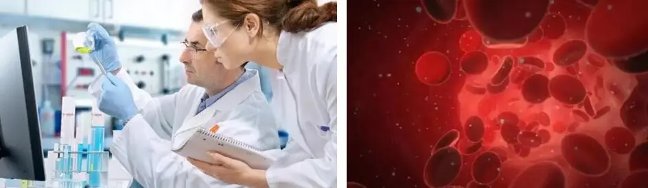 FISETIN POWDER FISETIN POWDER