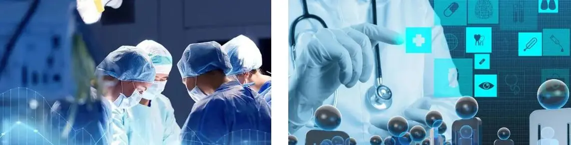 FISETIN POWDER FISETIN POWDER