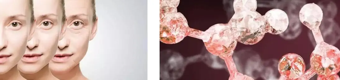 FISETIN POWDER FISETIN POWDER