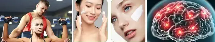 FISETIN POWDER FISETIN POWDER