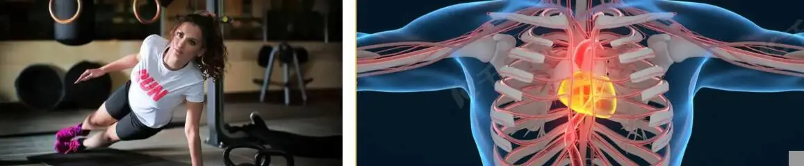 FISETIN POWDER FISETIN POWDER