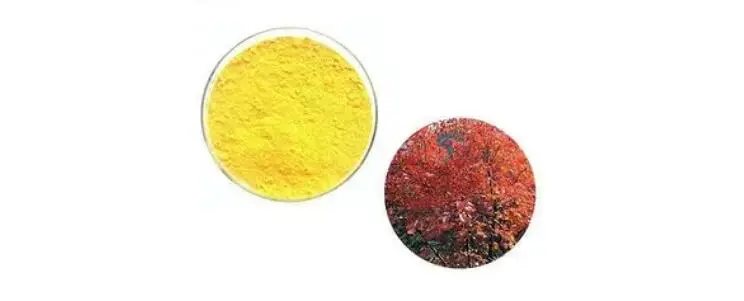 FISETIN POWDER FISETIN POWDER