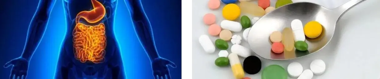 TURMERIC ROOT EXTRACT POWDER TURMERIC ROOT EXTRACT POWDER