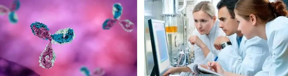 TURMERIC ROOT EXTRACT POWDER TURMERIC ROOT EXTRACT POWDER