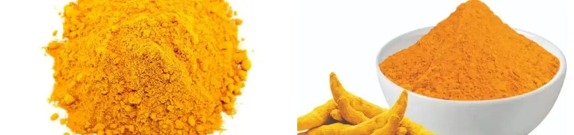 TURMERIC ROOT EXTRACT POWDER TURMERIC ROOT EXTRACT POWDER