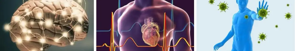 TURMERIC ROOT EXTRACT POWDER TURMERIC ROOT EXTRACT POWDER