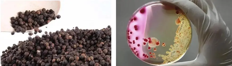 TURMERIC ROOT EXTRACT POWDER TURMERIC ROOT EXTRACT POWDER