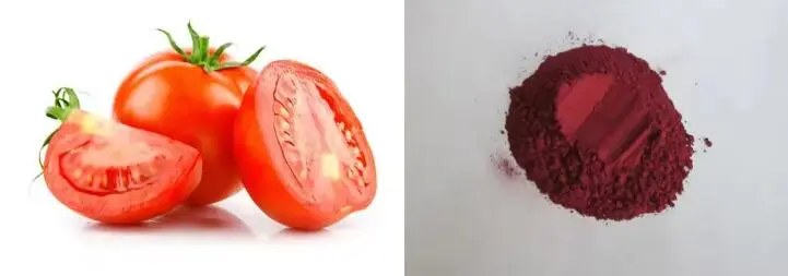 product-1-1 Awọ Jin: Ṣiṣawari Ipa Lycopene Powder ni Itọju Awọ