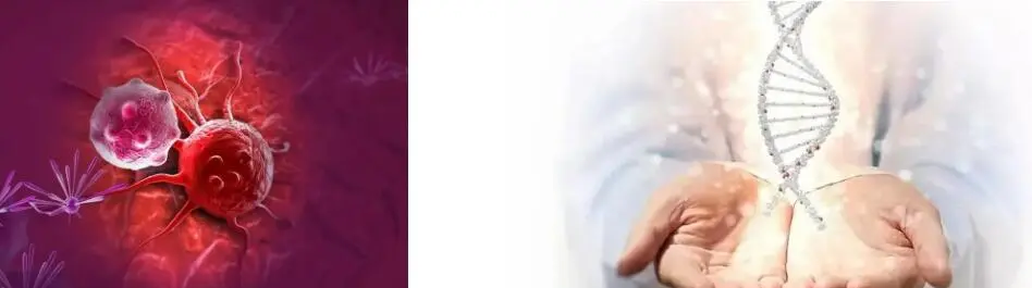 LICOPENO EN POL LICOPENO EN POL