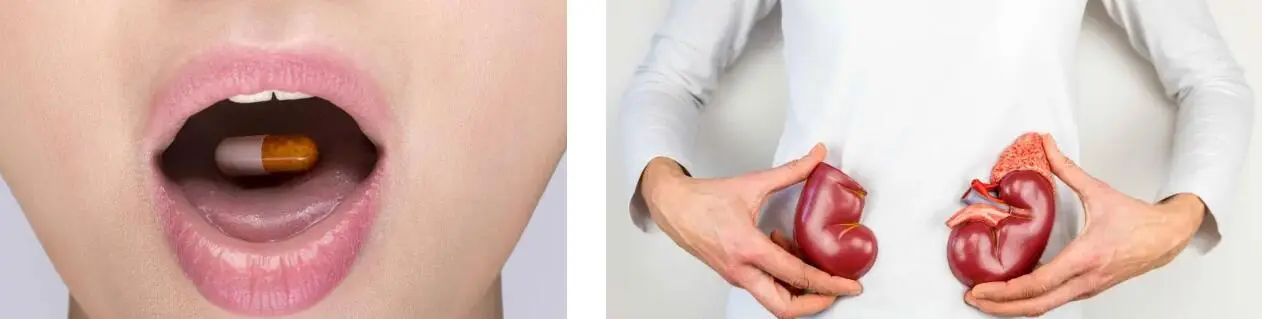 Extracto de raíz de garra do diaño Extracto de raíz de garra do diaño