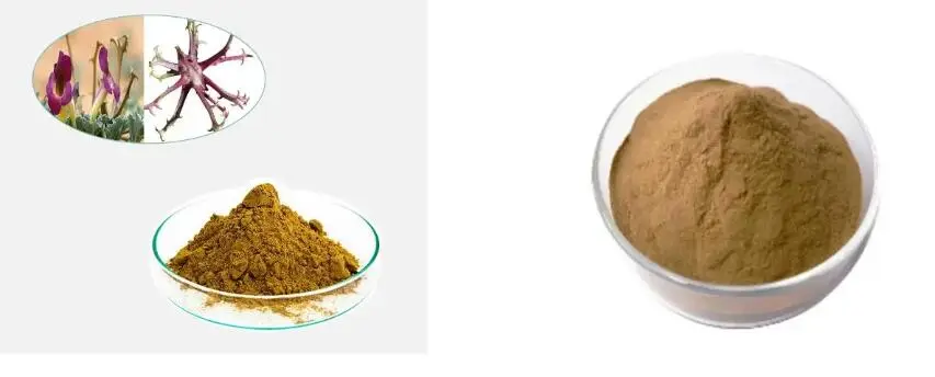 EXTRACTO DE RAÍZ DE UÑA DO DEMO EXTRACTO DE RAÍZ DE UÑA DO DEMO