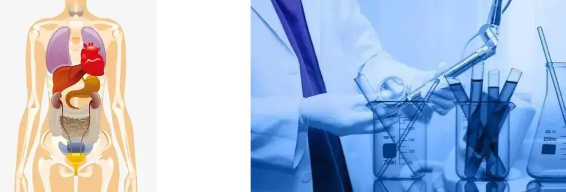 COENZYME Q10 POWDER COENZYME Q10 POWDER