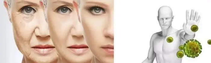 COENZYME Q10 POWDER COENZYME Q10 POWDER