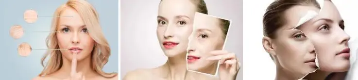 COENZYME Q10 POWDER COENZYME Q10 POWDER