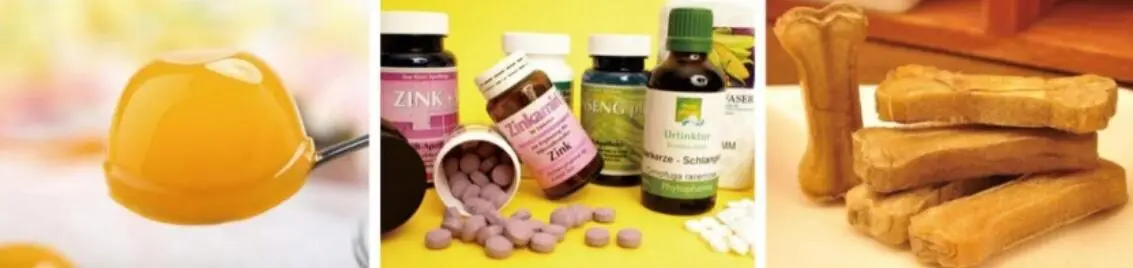 LION'S MANE MUSHROOM EXTRACT POWDER LION'S MANE MUSHROOM EXTRACT POWDER