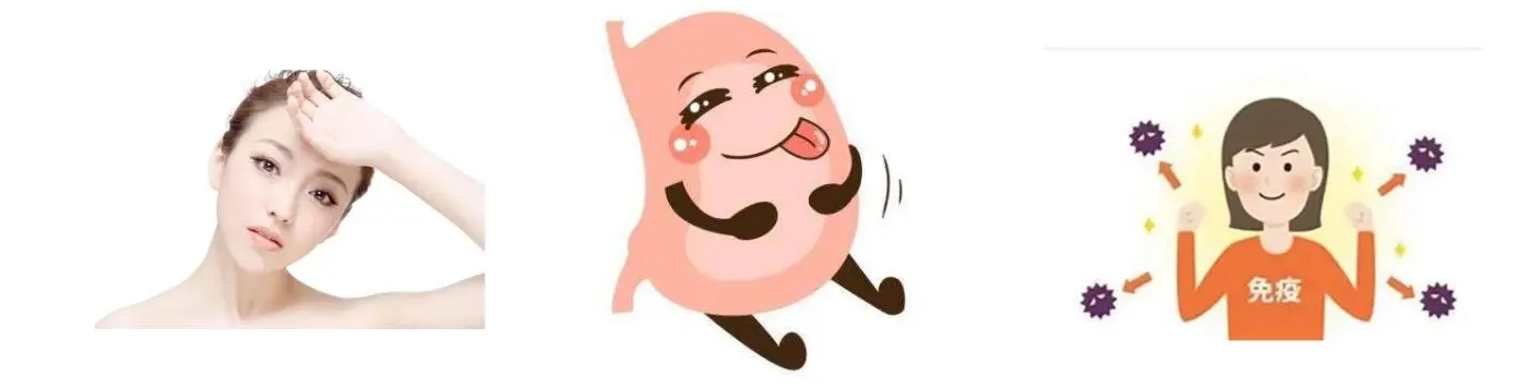 LION'S MANE MUSHROOM EXTRACT POWDER LION'S MANE MUSHROOM EXTRACT POWDER