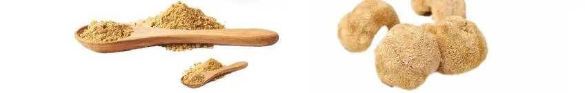 LION'S MANE MUSHROOM EXTRACT POWDER LION'S MANE MUSHROOM EXTRACT POWDER