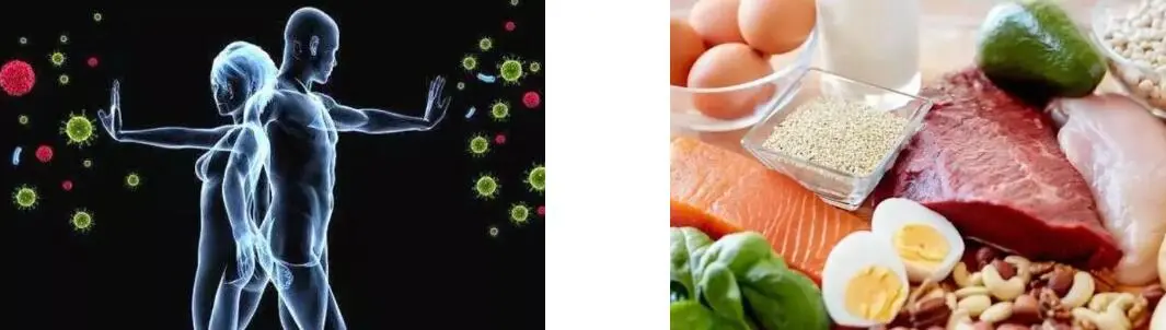 LION'S MANE MUSHROOM EXTRACT POWDER LION'S MANE MUSHROOM EXTRACT POWDER