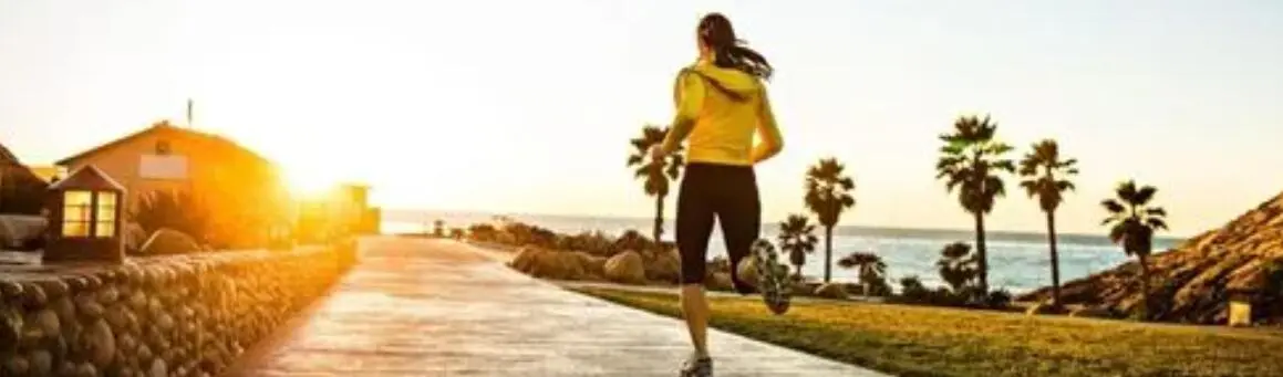 LION'S MANE MUSHROOM EXTRACT POWDER LION'S MANE MUSHROOM EXTRACT POWDER