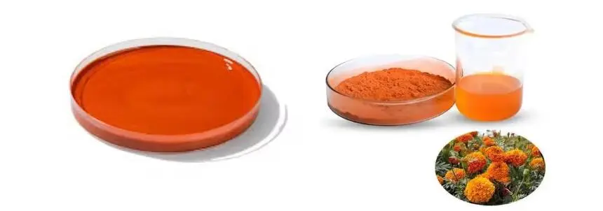 LUTEIN POWDER LUTEIN POWDER