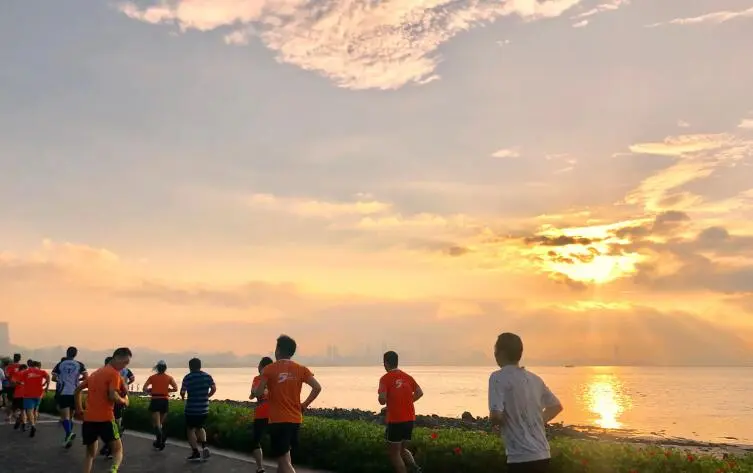 LUTEIN POWDER LUTEIN POWDER