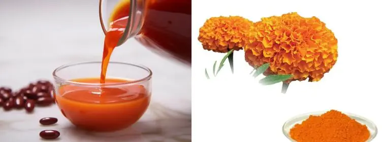 Luteína en po Luteína en po