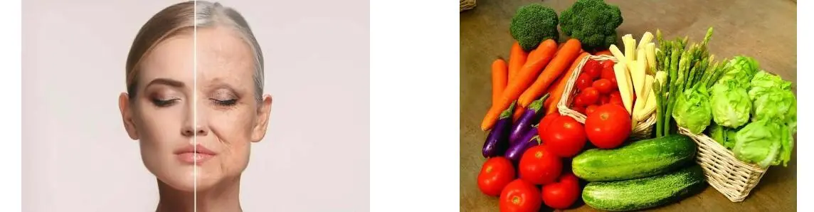 LUTEÍNA EN POL LUTEÍNA EN POL