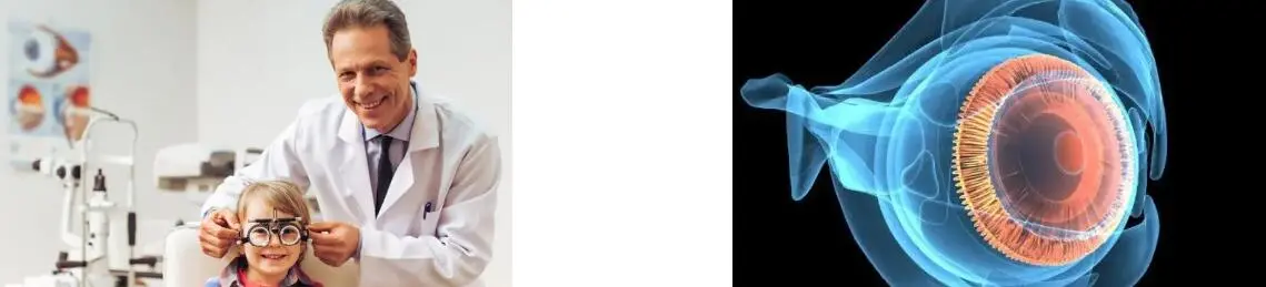 ZEAXANTHIN POWDER ZEAXANTHIN POWDER