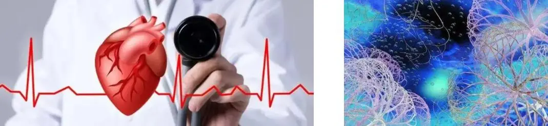 LÉVADO BETA GLUCÁN EN POL LÉVADO BETA GLUCÁN EN POL