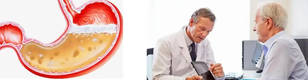 PURE PEA PROTEIN POWDER PURE PEA PROTEIN POWDER