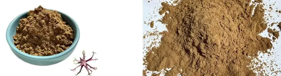 DEVIL'S CLAW ROOT EXTRACT DEVIL'S CLAW ROOT EXTRACT