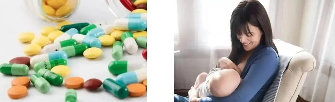 DEVIL'S CLAW ROOT EXTRACT DEVIL'S CLAW ROOT EXTRACT