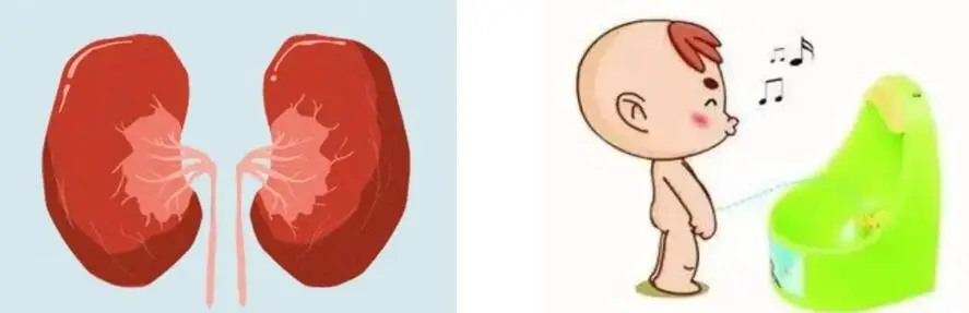 DEVIL'S CLAW ROOT EXTRACT DEVIL'S CLAW ROOT EXTRACT