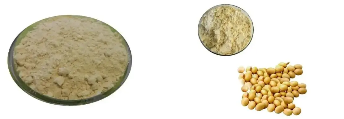 CHICKPEA PROTEIN POWDER CHICKPEA PROTEIN POWDER