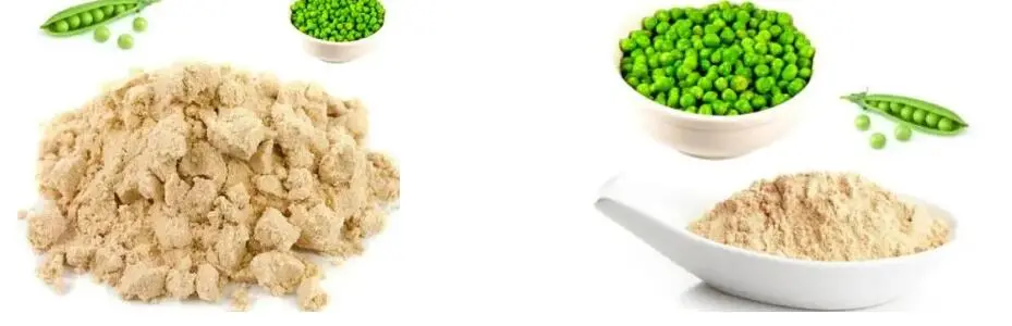 PURE PEA PROTEIN POWDER PURE PEA PROTEIN POWDER