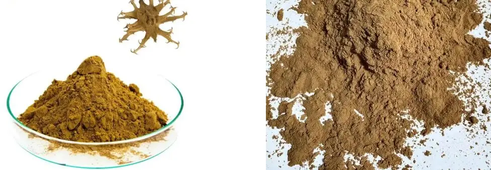 DEVIL'S CLAW ROOT EXTRACT DEVIL'S CLAW ROOT EXTRACT